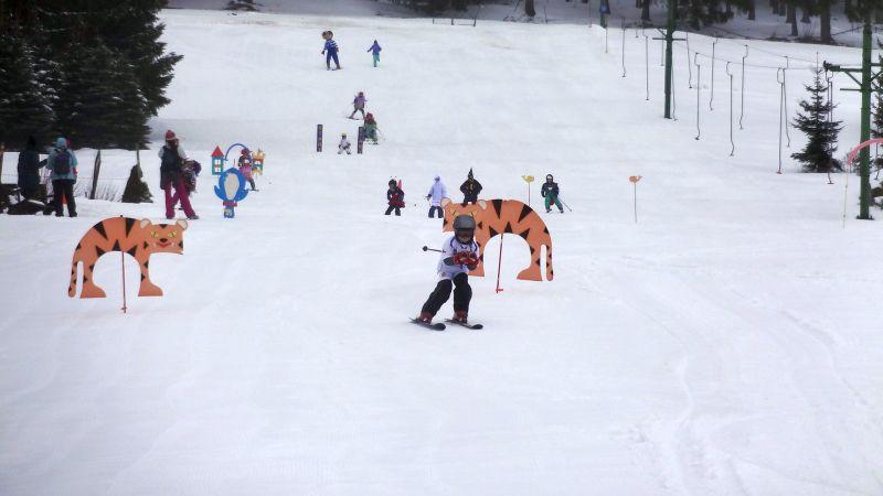 Dětský karneval na lyžích 2013