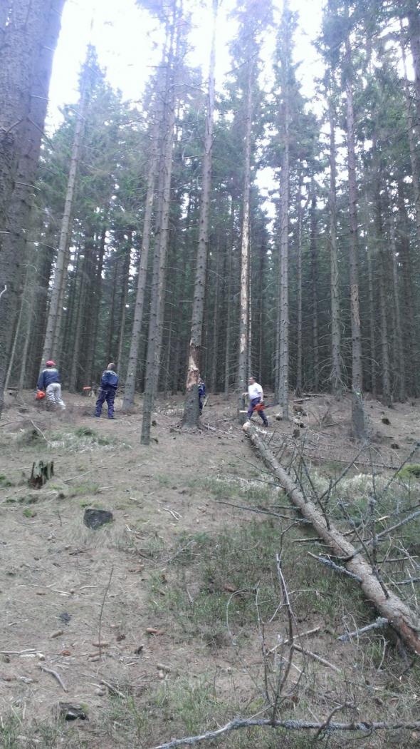 Přípravy čarodějnic a stavění májky, duben 2013