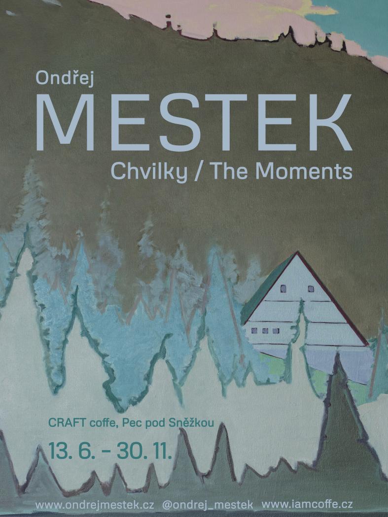 Výstava: Chvilky/The moments - Ondřej Mestek