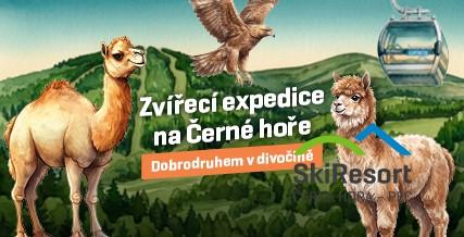 Zvířecí expedice na Černé hoře