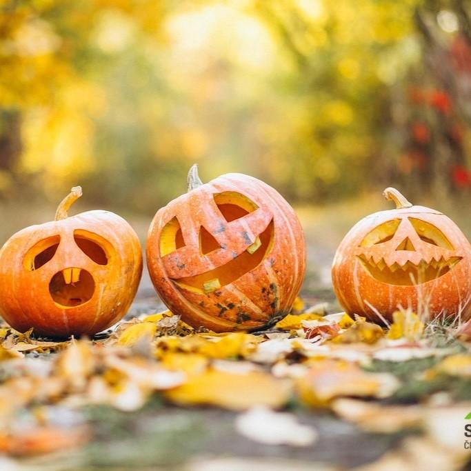 Halloween v Relaxparku
