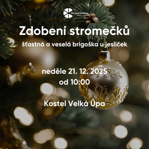 Zdobení stromečků