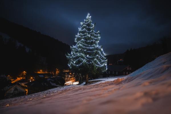 Pec pod Sněžkou soutěží o nejhezčí vánoční strom Trutnovska!