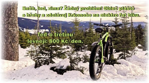 Svátek svatého Martina