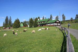 Horský hotel Lesní bouda