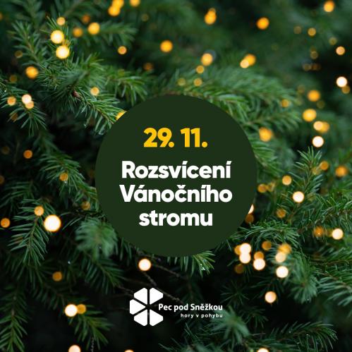 Rozsvícení vánočního stromu