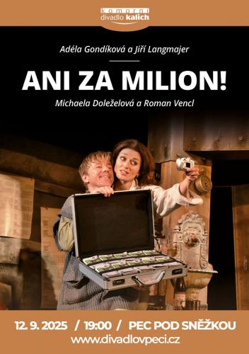 Divadelní představení Ani za milion!