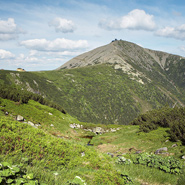 Léto